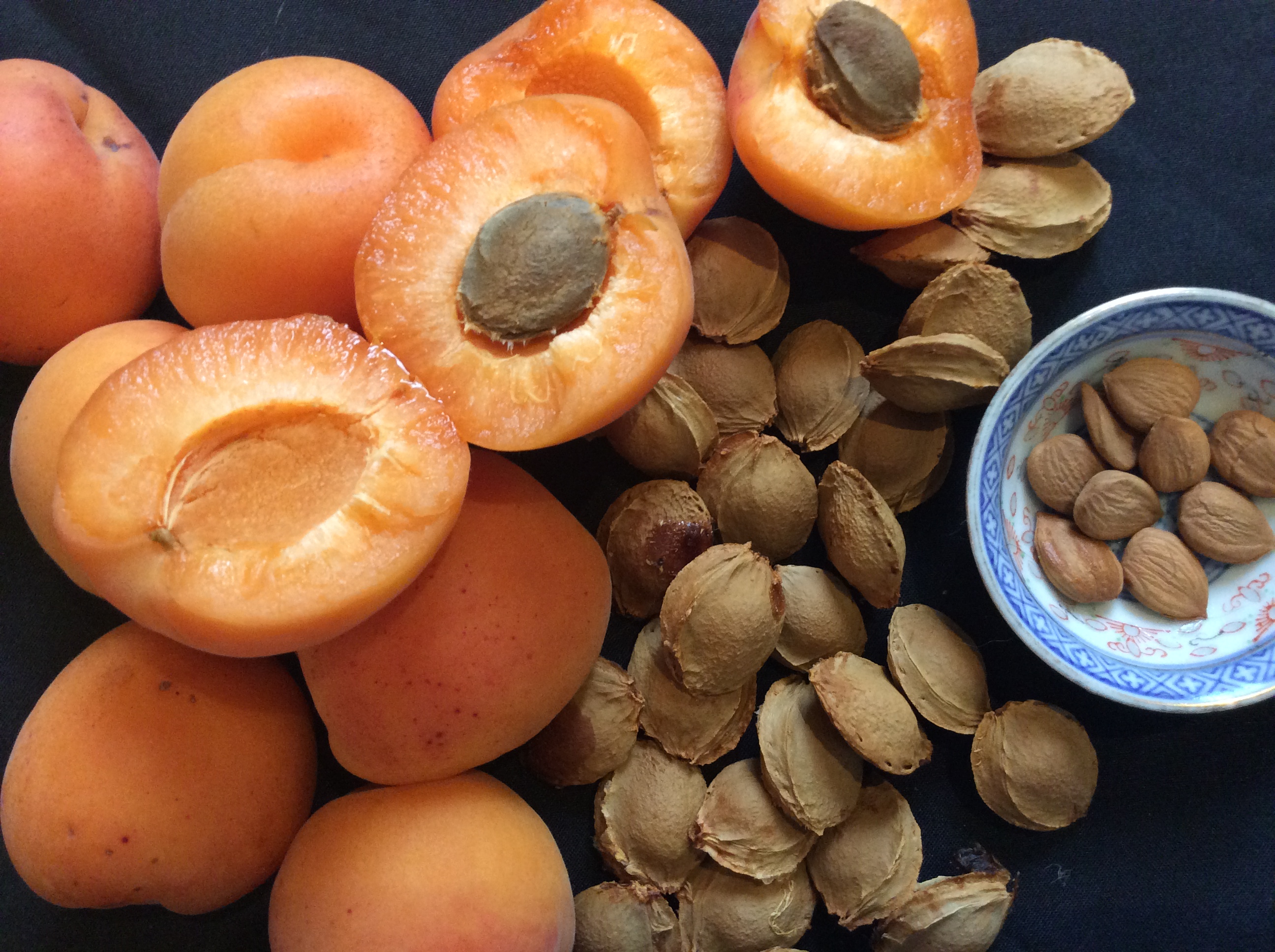 apricot kernels - Hunza Bytes